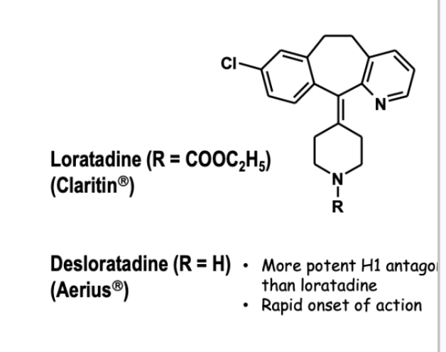 <ul><li><p>Desloratadine (Aerius)</p></li><li><p>more potent than Loratadine and rapid onset of action </p></li></ul><p></p>