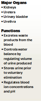 <p>What system is this?</p>