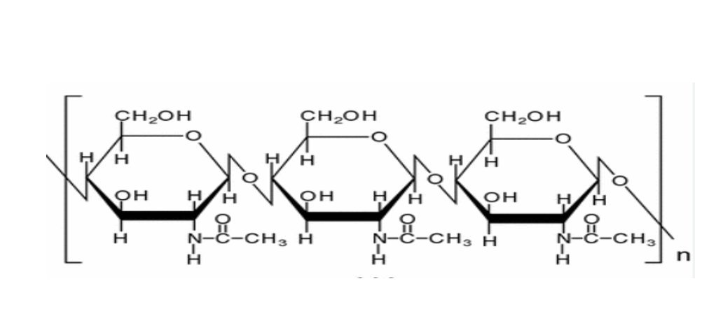<p>What polysaccharide is this? </p>