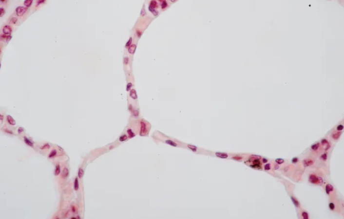<p>What is this?</p>