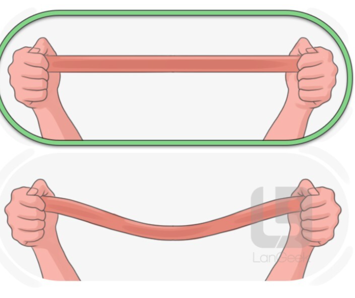 <p>To make a body part or something become straight.</p>