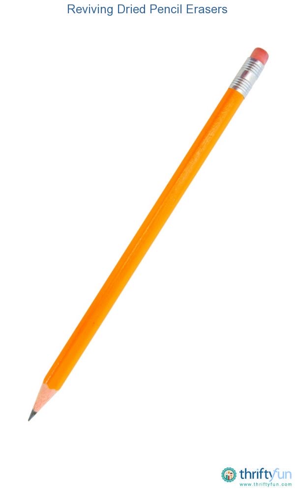 <p>Long</p>