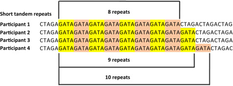 <p><span>Short Tandem Repeats (STRs) are </span><strong><mark data-color="rgba(0, 0, 0, 0)" style="background-color: rgba(0, 0, 0, 0); color: inherit;">short sequences of DNA, typically 2–6 base pairs long, that repeat consecutively in non-coding regions of the genome</mark></strong><span>. Because the number of repeats varies highly between individuals, STR profiling is the industry standard for DNA fingerprinting, forensics, and paternity testing, with over 99.9% accuracy.</span></p>