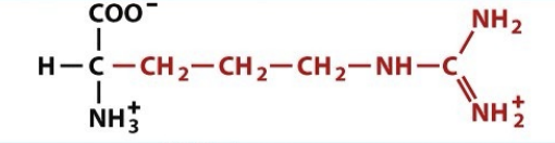 <p>pH 12.48</p><p>positively charged</p>