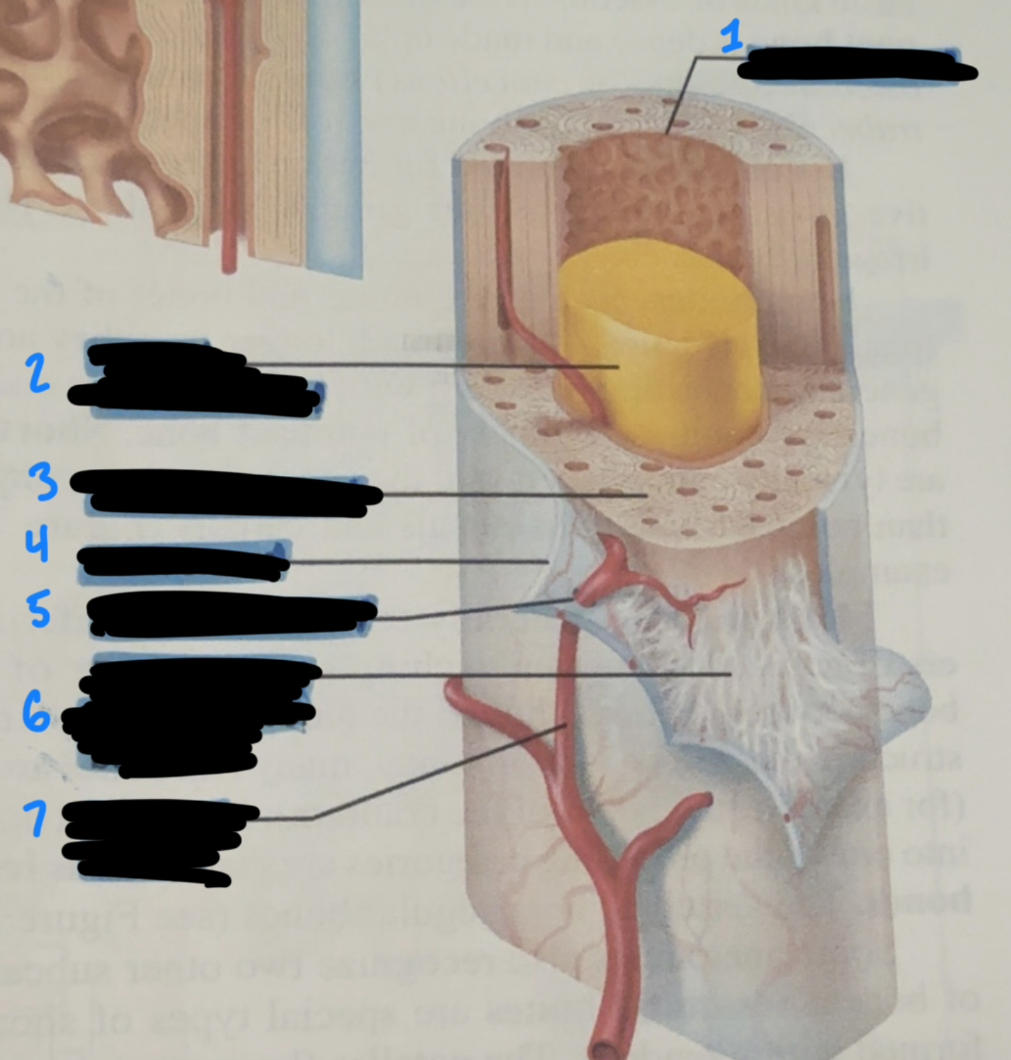 <p>5</p>