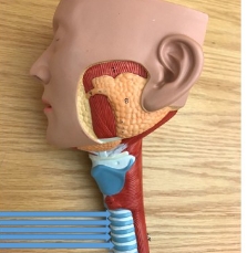 <p>name the part</p>