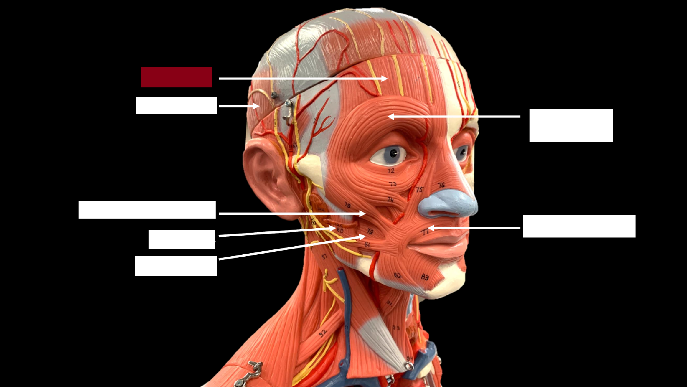 <p>WHAT IS THE NAME OF THE RED HIGHLIGHTED PART?</p>