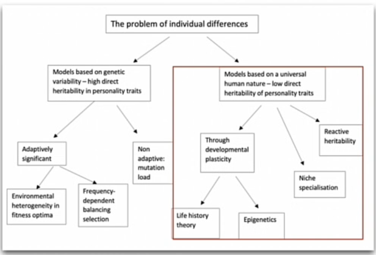 <p>verschillende eervarings gedreven processen via welke individuele processen kunnen ontstaan</p>