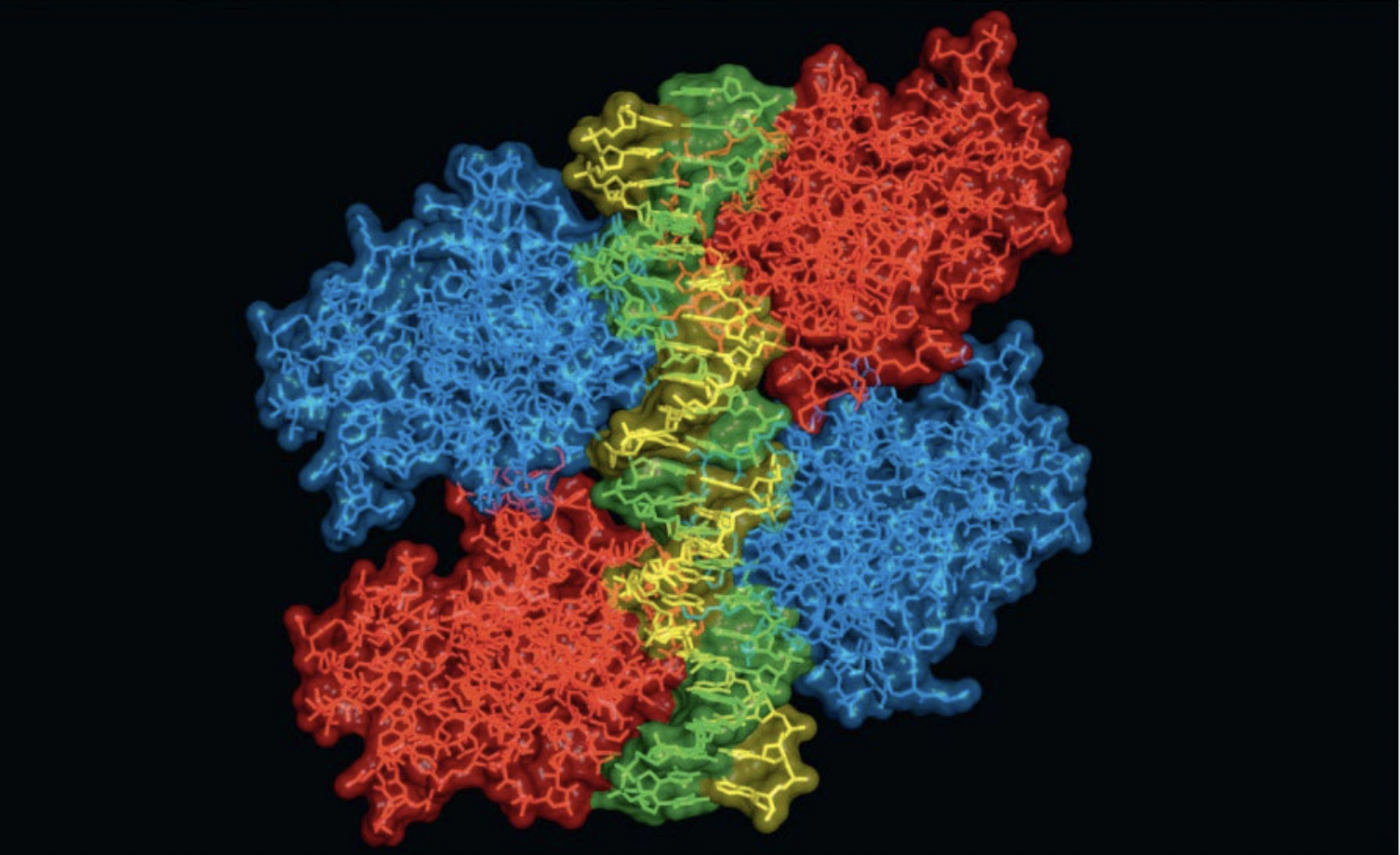 <p>(The Macromolecules, interact with each other)</p>