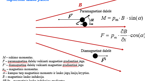 <p>veikia  F’ jėga, kuris stumia ją silpnesios lauko pusėn</p>
