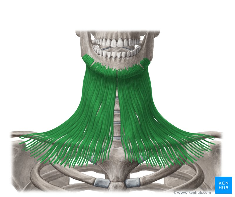 <p>structure</p>