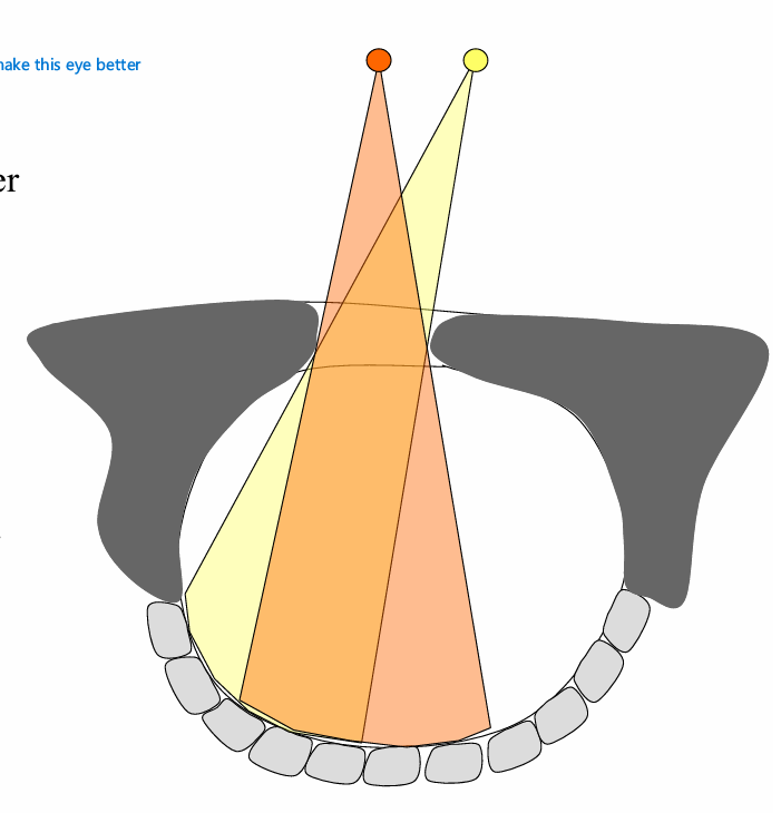 <ol><li><p>keep dirt out blocking vision</p></li><li><p>IOP maintained at higher value than outside to maintain eye shape</p></li></ol><ul><li><p><em>this membrane began to bulge then act as lens, increasing resolution </em></p></li></ul><p></p>
