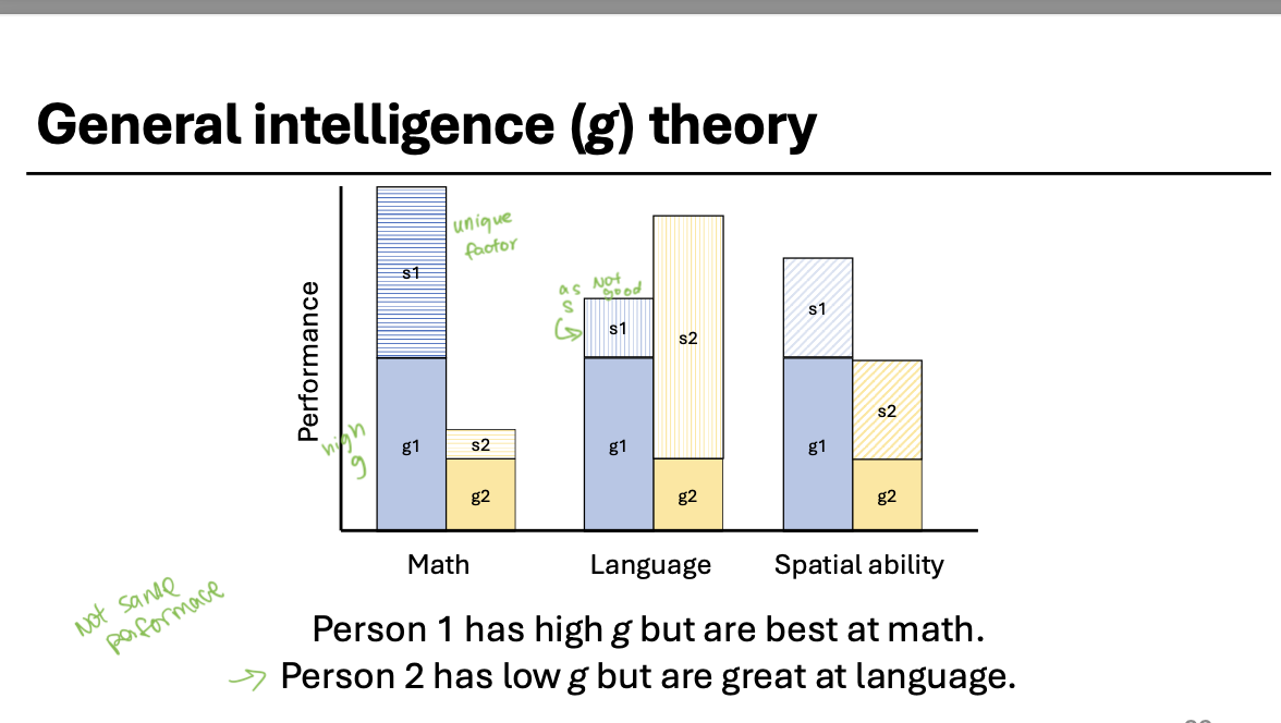 <ul><li><p>not all cognitive abilities are driven by g (ENTIRELY)</p></li><li><p>correlation between g and one cogn. ability not perfect</p><ul><li><p>portion not explained by g</p><ul><li><p>explained by specific factor (S)</p></li></ul></li></ul></li></ul><p></p>