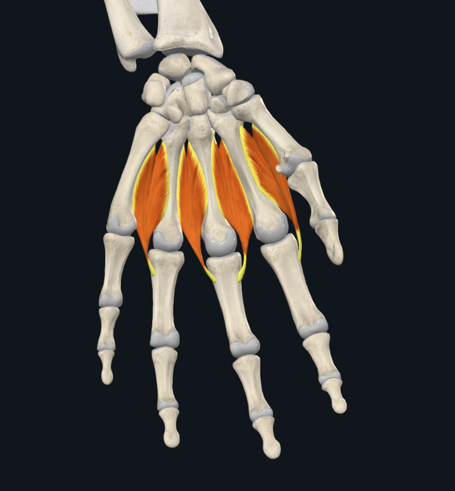 term image