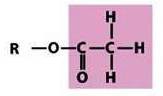 <p>-a carbonyl group bonded to a methyl group</p>