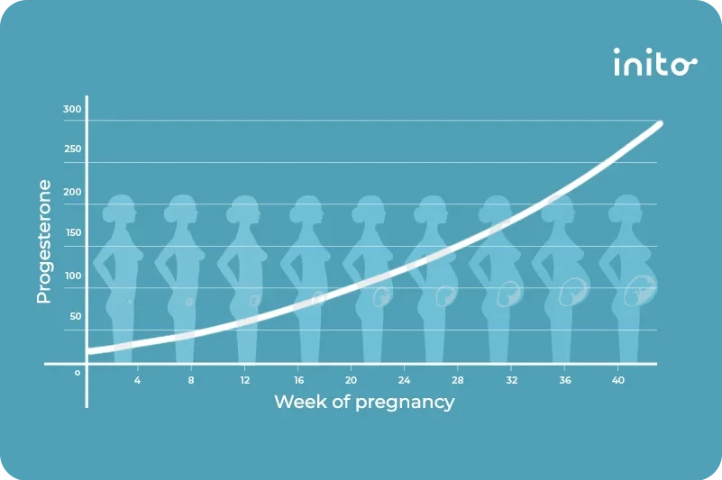 <p>What is the role of progestogens in pregnancy?</p>