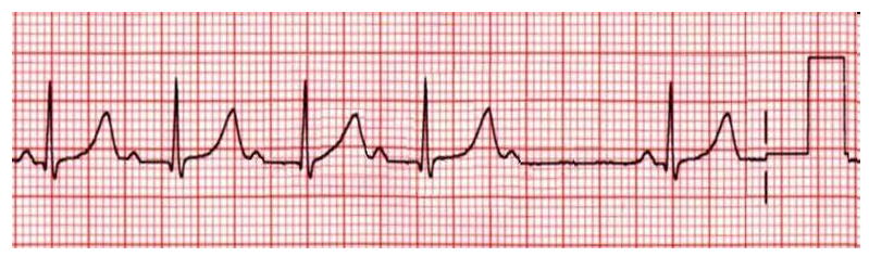 <p>What is this?</p>