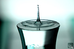 <p>Water, sugar water, and salt water</p>
