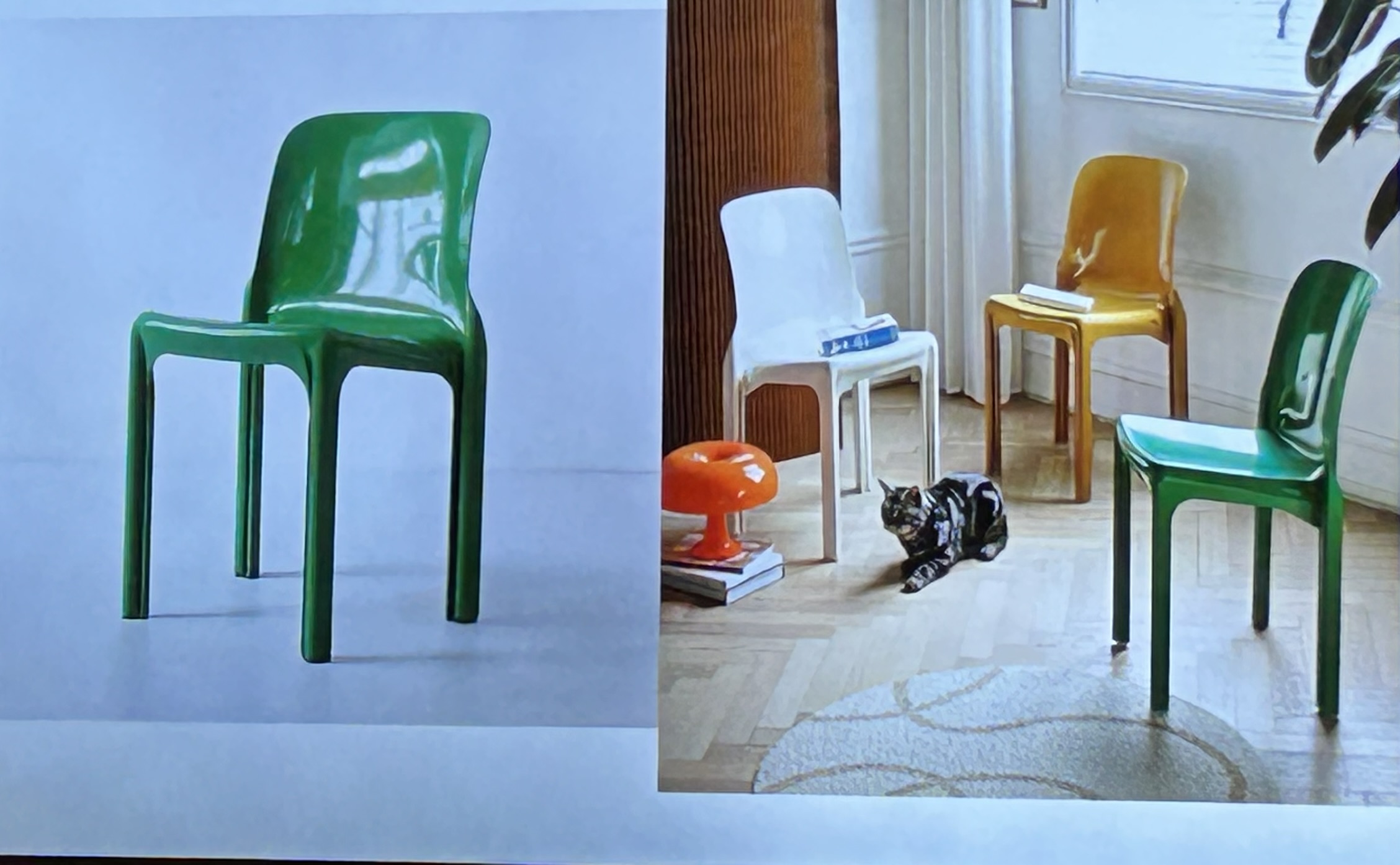 <p>What’s it called?</p>