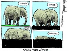 <p>Clutching to beliefs despite contrary evidence</p>