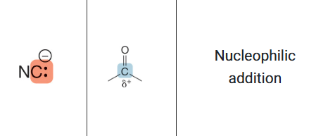 <ol start="3"><li><p>4. Electron-Rich Species (Nucleophile)</p></li><li><p>5. Electron-Poor Species (Electrophile)</p></li><li><p>6. Mechanism</p></li></ol><p></p>