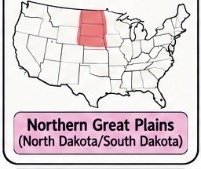 <p>Northern Great Plains — buffalo hunting; Lakota/Dakota peoples</p>