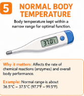 <p>A body temperature range that allows chemical reactions and enzymes to work properly.<br>Example: A large change in body temperature can change the speed of chemical reactions.</p>
