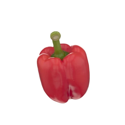 <p>Paprika rot (lose)</p>