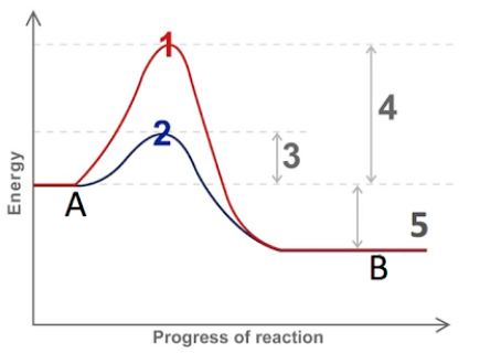 <p>5</p>