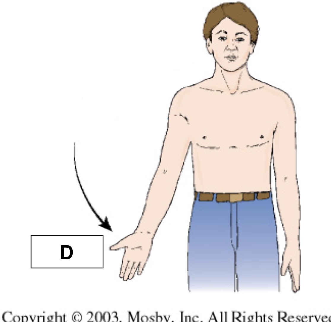 <p>straightning of a joint; when both elements of a joint are in anatomic position; normal position of a joint </p>