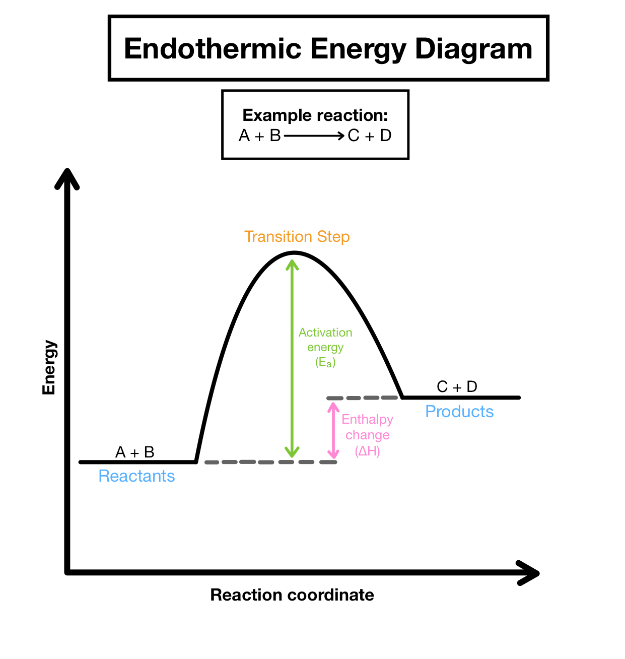 <p>What type of reaction is shown in this diagram?</p>