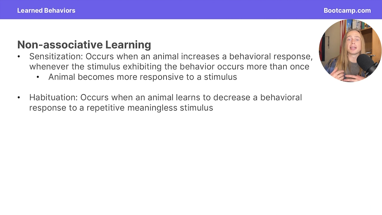 <p>A typ ofnon associative learning that occurs when an animal learns to  decrease a behavioral response to a repetitiive meaningless stimulus </p>