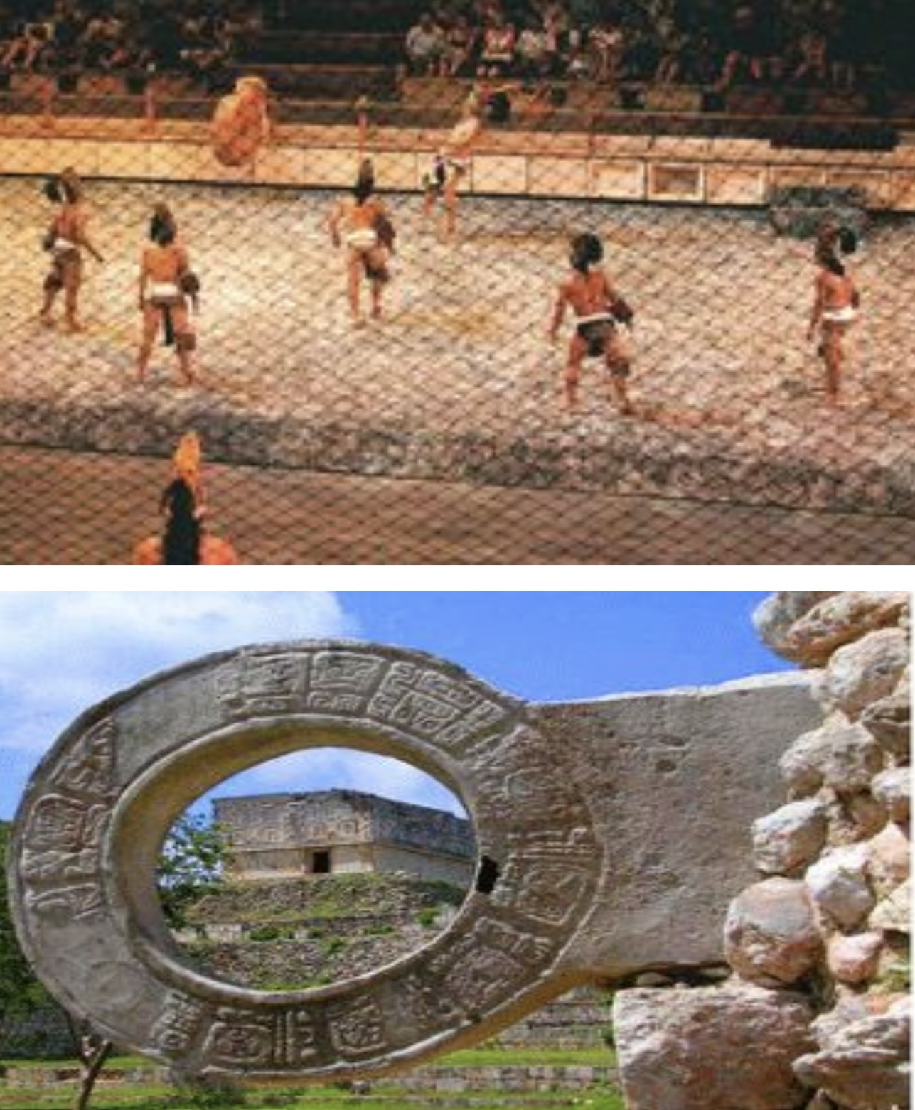 term image