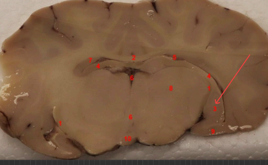 <p>what area is this </p>