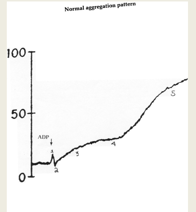 <p>what causes 2?</p>