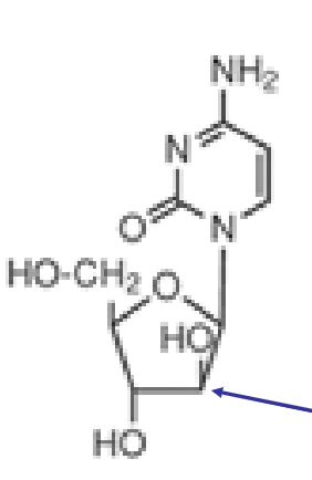 <p>what structure is this?</p>