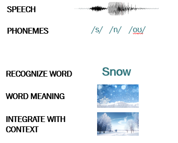 <p>We still need to recognise words to access what they mean and integrate meanings of different words together to comprehend a whole utterance.</p>