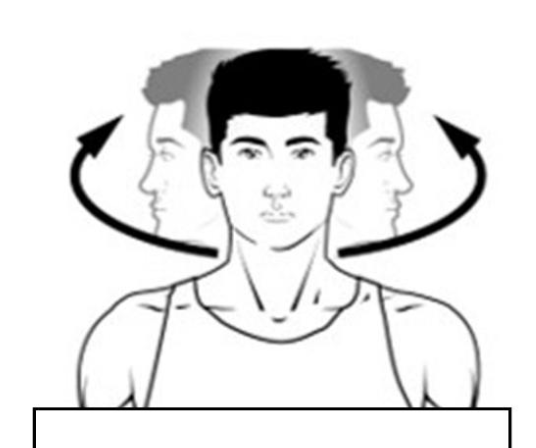 <p>what are the muscles responsible for this movement?</p>