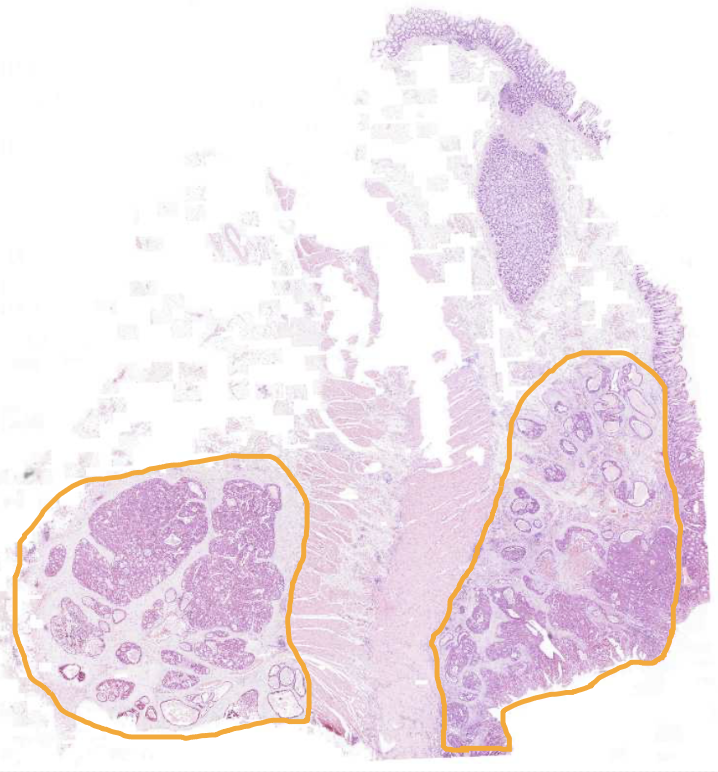 <img src="https://assets.knowt.com/user-attachments/b003dbb8-e4d6-41c8-a1d2-7f32438e7623.png" data-width="100%" data-align="center" alt="knowt flashcard image"><p></p>