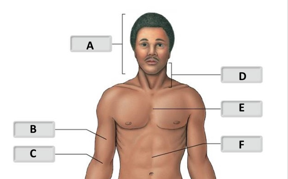 <p>Name for E</p>