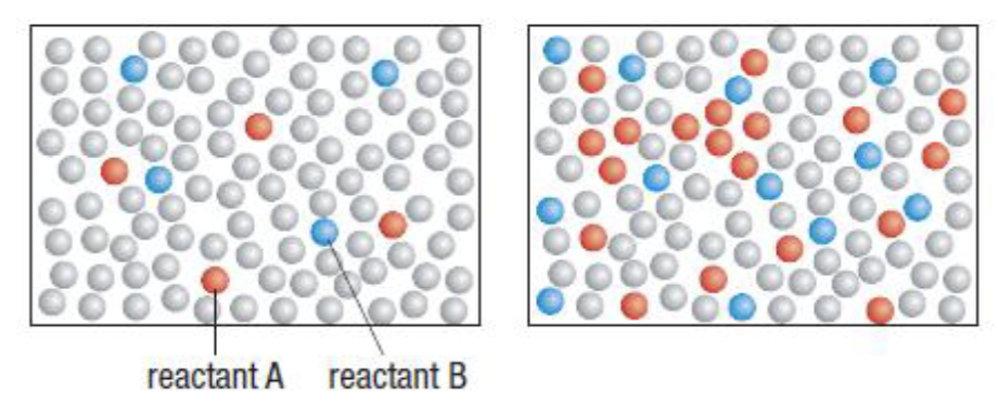 <p>Where would the reaction be slower, wb faster? Why?</p>