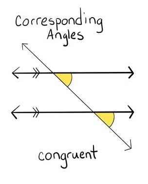 <p>Angles on the same side of a ray/line that have the same measurement</p>