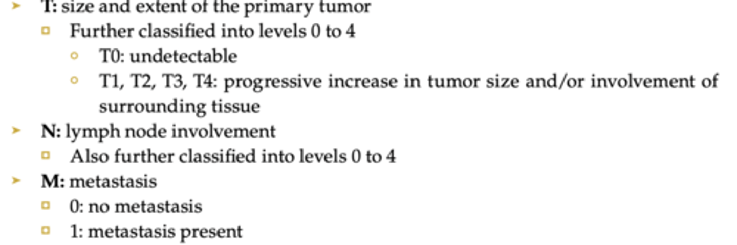 <p>tumor, nodes, metastasis</p>