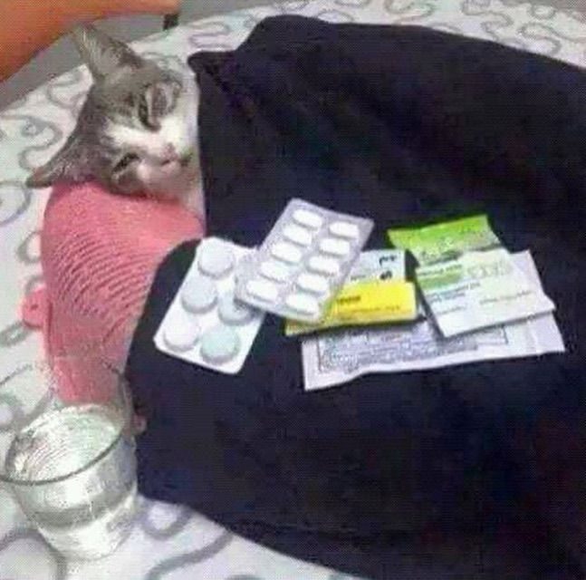 <p>take medicine</p>