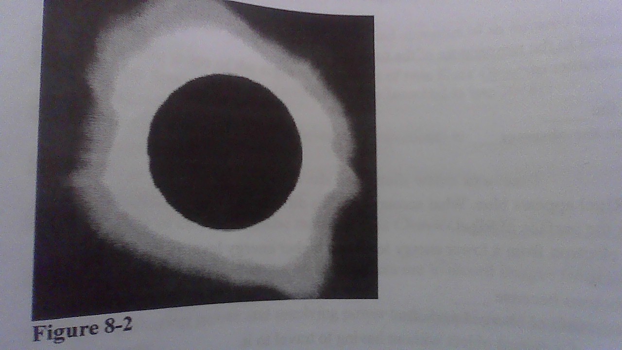 <p>Whic layer of the Sun’s atmosphere is represented in the accompanying visual-wavelength image (figure 8-2)?</p>