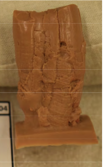 <p>orange teeth impression</p>