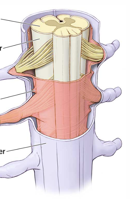 <p>second arrow from the top</p>