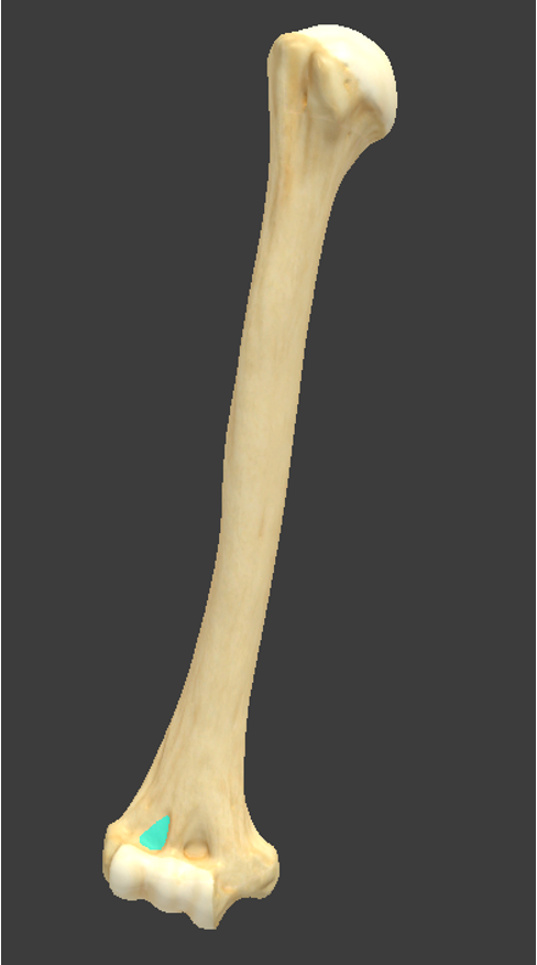 <p></p>