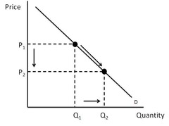 <p>A change in the quantity demanded of a good that is the result of a change in that good's price.</p>