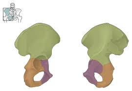 <p>Identify the green</p>